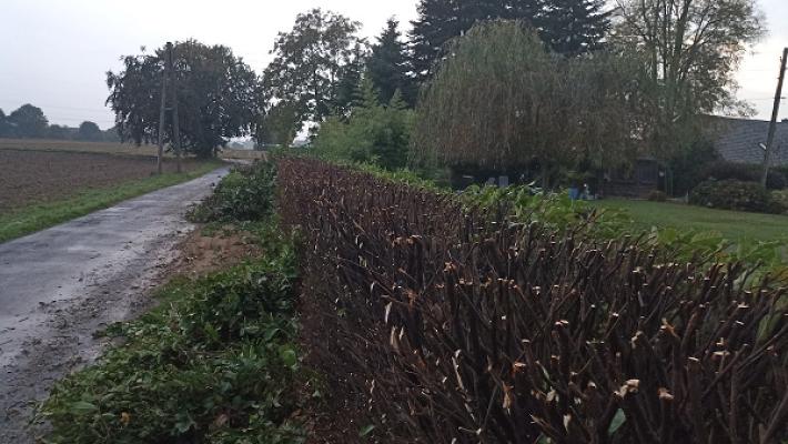 Kunz Garten- und Landschaftsgestaltung