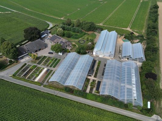 Wasserpflanzen Appenzeller