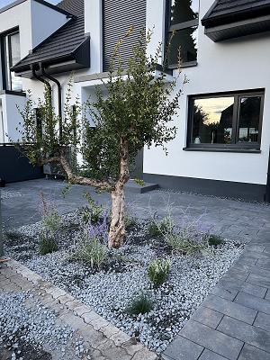 Delija Garten- und Landschaftsbau Walbeck b. Geldern