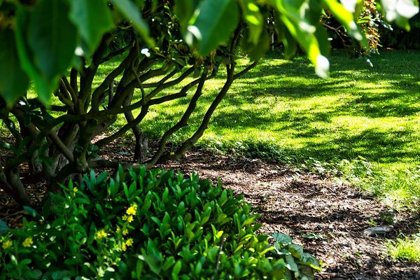 Pliss Garten- und Landschaftsbau