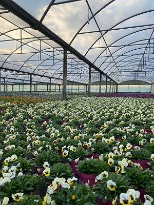 Gartenbau Heekeren