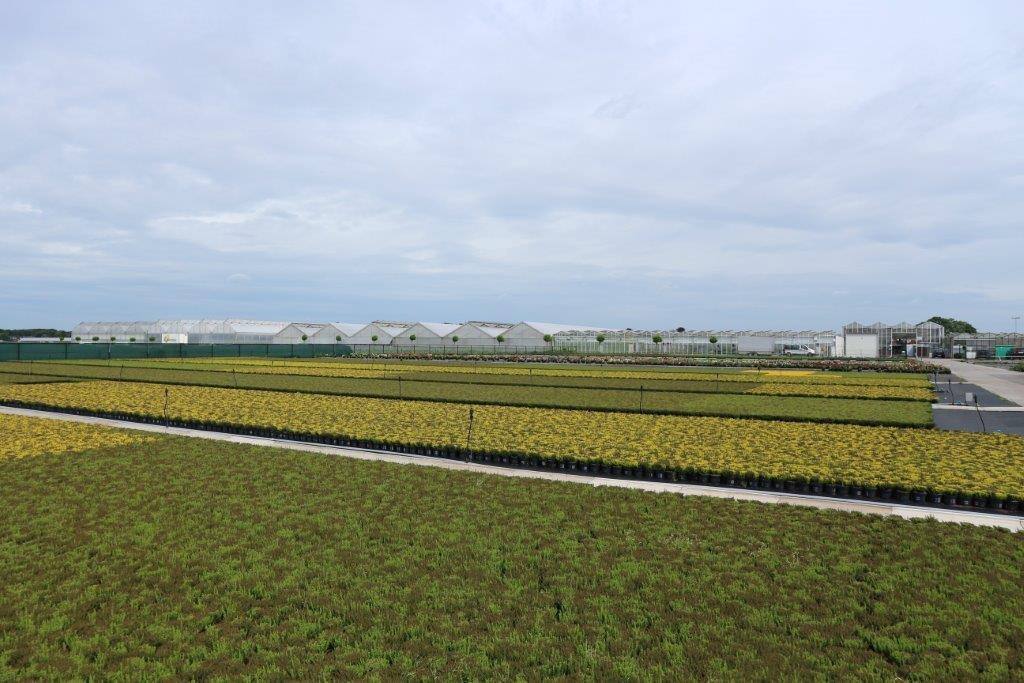 682ec5d8ab98a