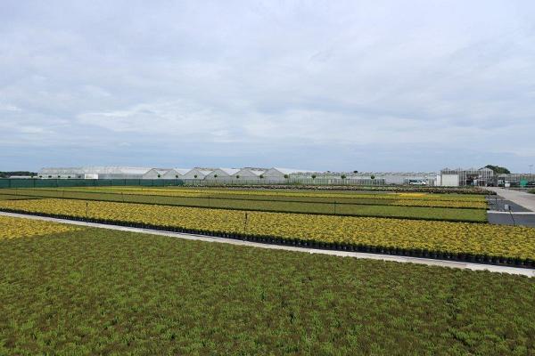 682ec5d8ab98a
