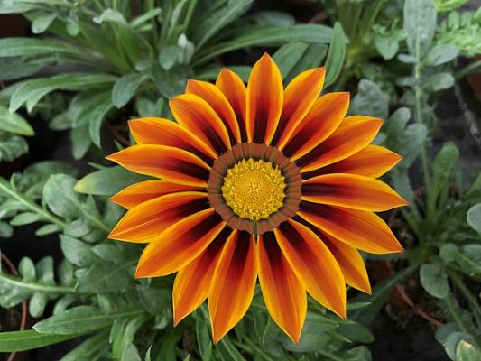 Beyen & Küsters GbR