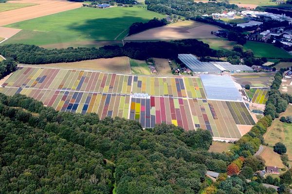Gartenbau Verheyen-Baetcke, Inhaber Birger Baetcke