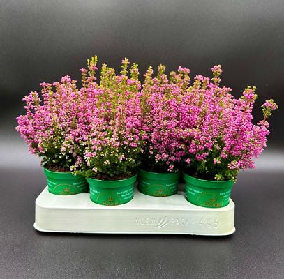 Küppers Gartenbau