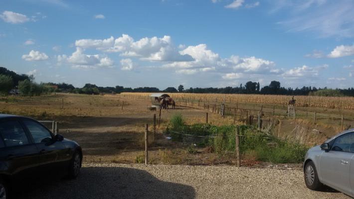 Garten- und Landschaftsbau Frey GmbH