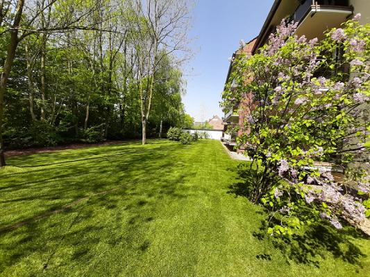 682ec721d3784