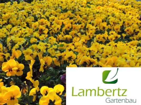 Heiner Lambertz Gartenbau