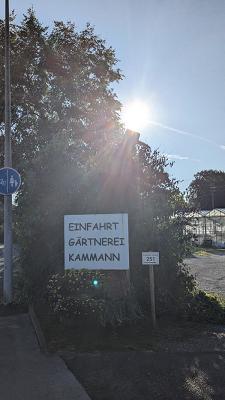 Gärtnerei Alexander Kammann