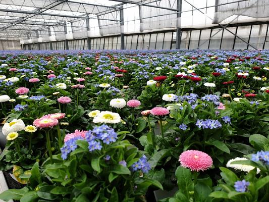 Gartenbau Schoenmackers