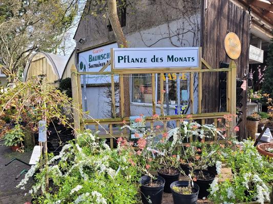 Baumschule Saathainer Mühle Inh. Anke Schenk