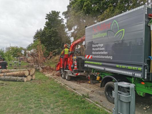 Baumfällungen Schäfer / Baumpflege