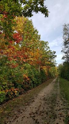 Garten- und Landschaftsgestaltung Hubertus Nagelschmitz