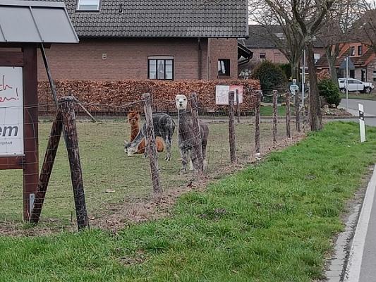 Alpaka Garten- und Landschaftsbau