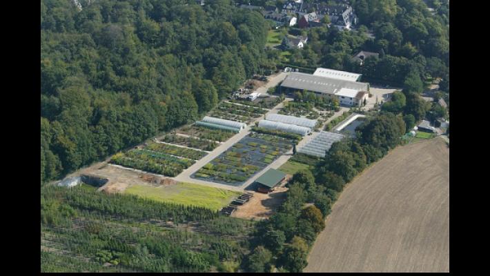 Zirener Baum- und Rosenschulen GbR