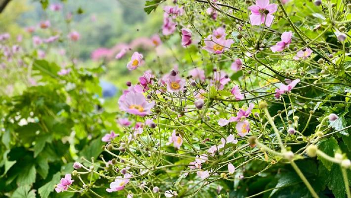 Stadtgrün Garten- und Landschaftsbau Meisterbetrieb Andreas Gebhardt