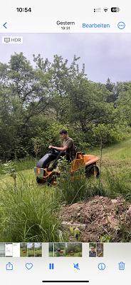 Gartenbau Schäfer (Hecke schneiden, Rasen mähen, Baumfällung, Baumschnitt)