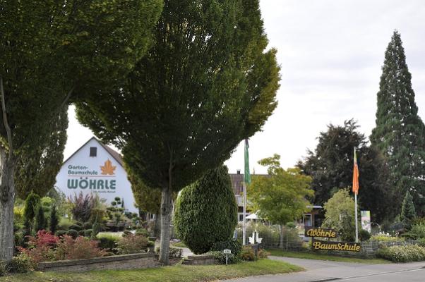 Baumschule Wöhrle