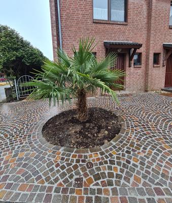 Köhnen Gartengestaltung