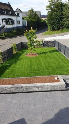 BENNY Garten & Landschaftsbau