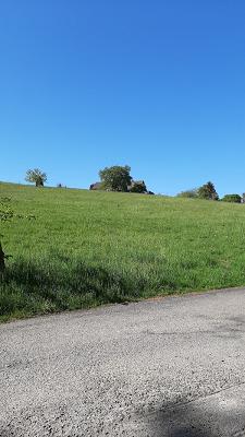 SIEPE Garten- und Landschaftsbau