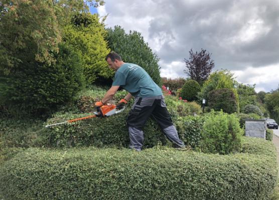 Gartenpflege und Hausmeisterservice Laurin