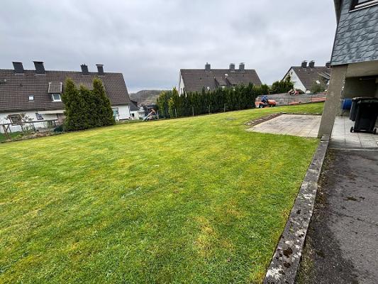 Baumdienst/Gartenpflege/Motorsägen Ausbildung Blank