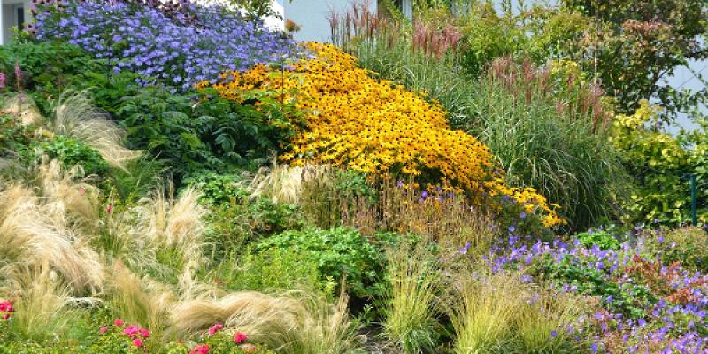 Behrens GartenGestaltung