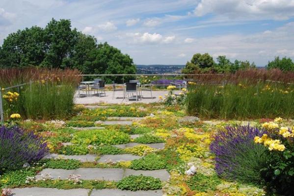 Winfried Stephan Garten- und Landschaftsbau GmbH
