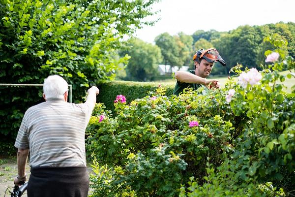 Creusen Gartengestaltung Baumschule Naturstein