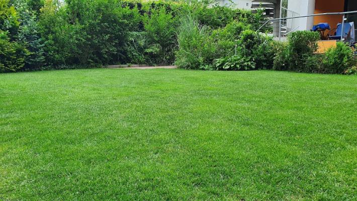 Sven Helsen Garten u. Aussenanlagengestaltung & Sachverständiger für Garten- und Landschaftsbau