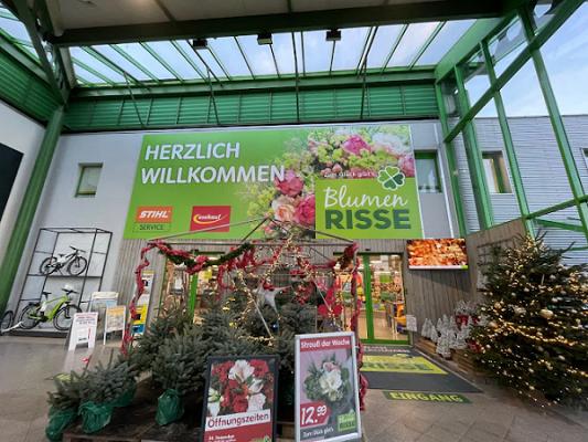 Blumen Risse