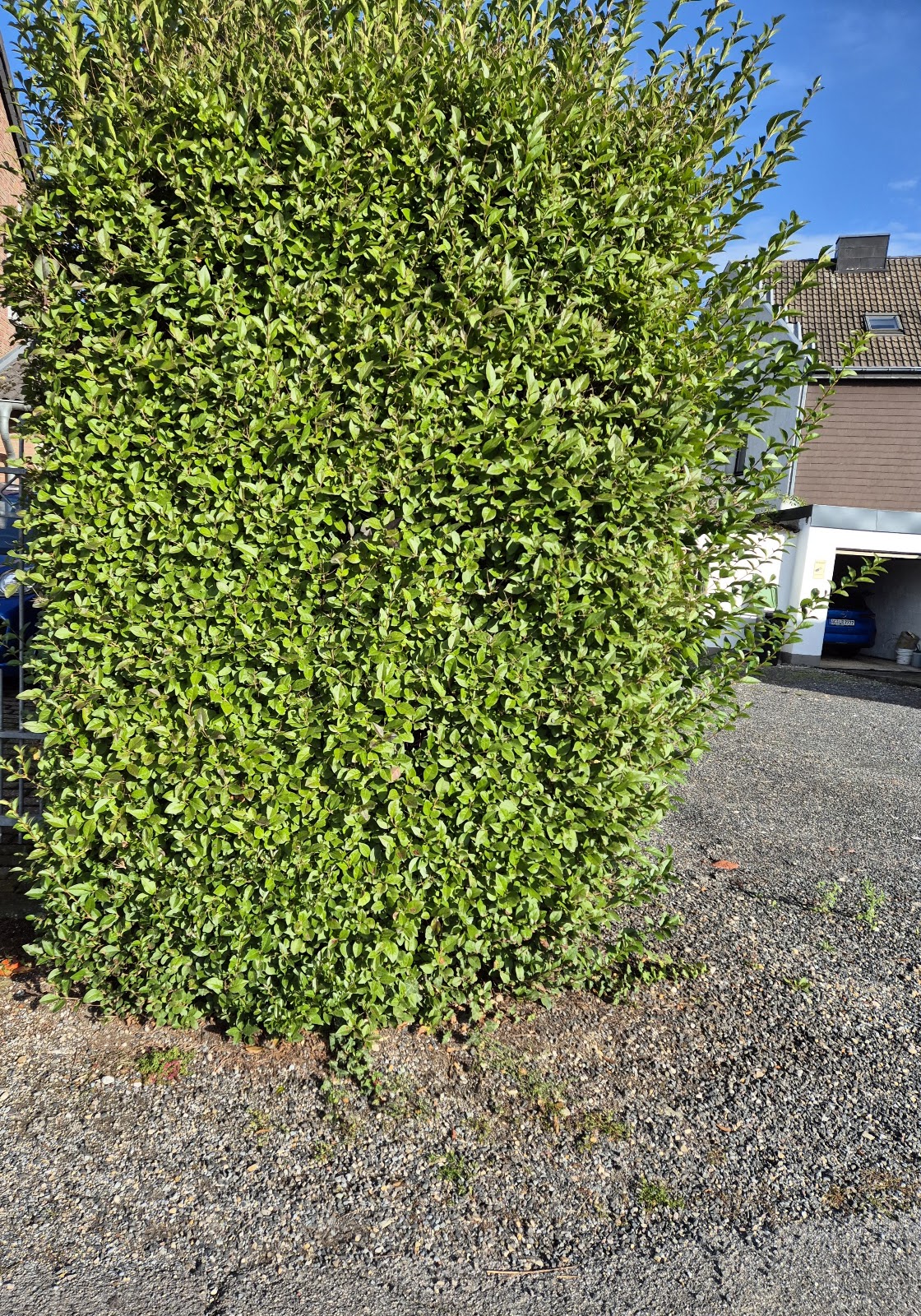 682ecc0f97982