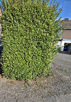 682ecc0f97982
