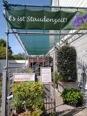 Fa. Staudengärtnerei Green Globe