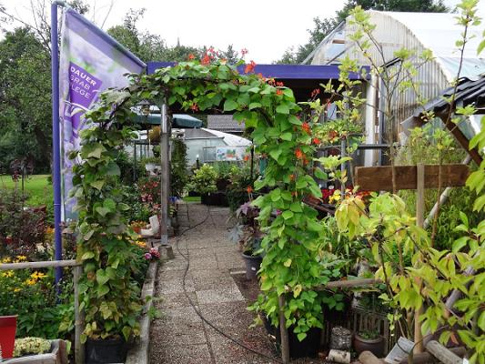 Backes FRIEDHOFSGÄRTNEREI UND GARTENBAU