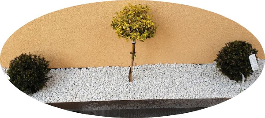 TONITOS Garten und Landschaftsbau