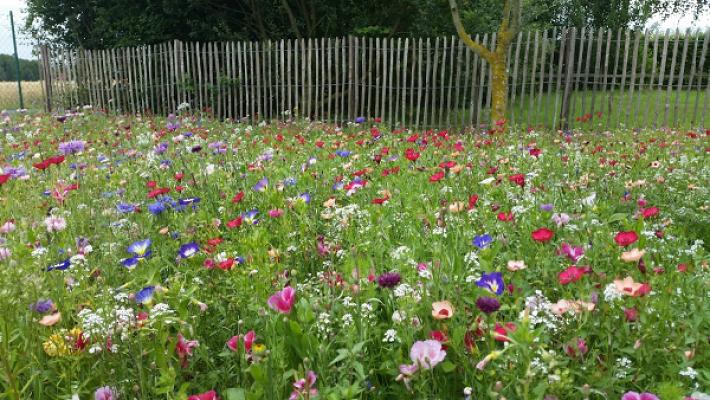 Esser Garten