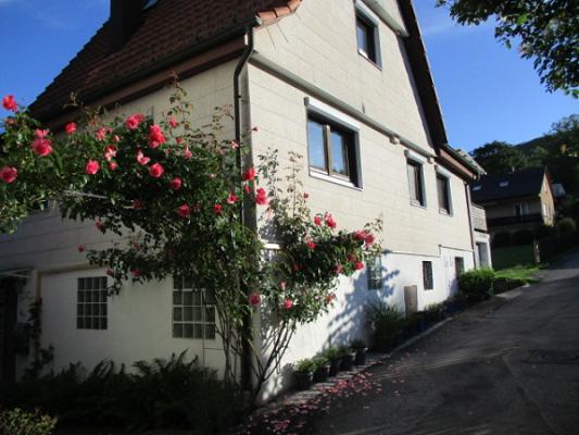 Fa. Anselm Gaus Gartenpflege - Pflanzenstärkungsmittel