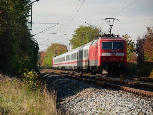 Gärtnerei Werner Hildebrand