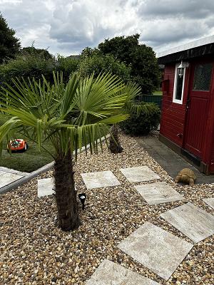Garten- und Landschaftsbau Inden l Gartenbau kreativ