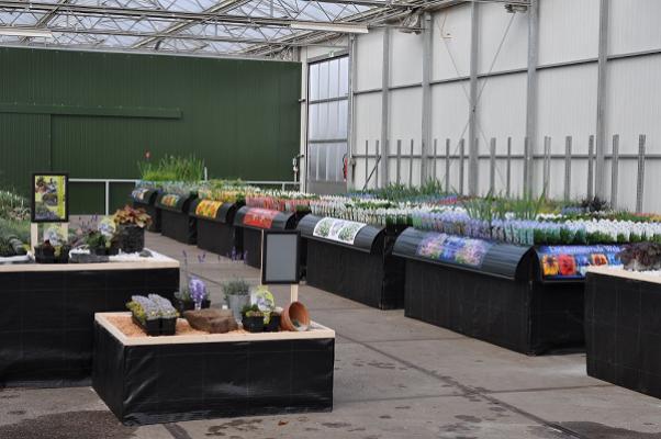 Staudenkulturen Bernd Fourné