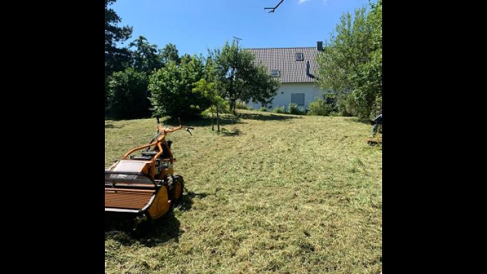Gartenpflege & Landschaftspflege Sommer