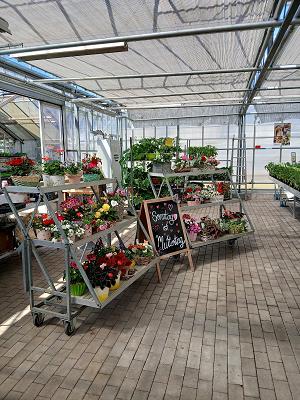 Gebrüder Böttcher Gartenbau GmbH