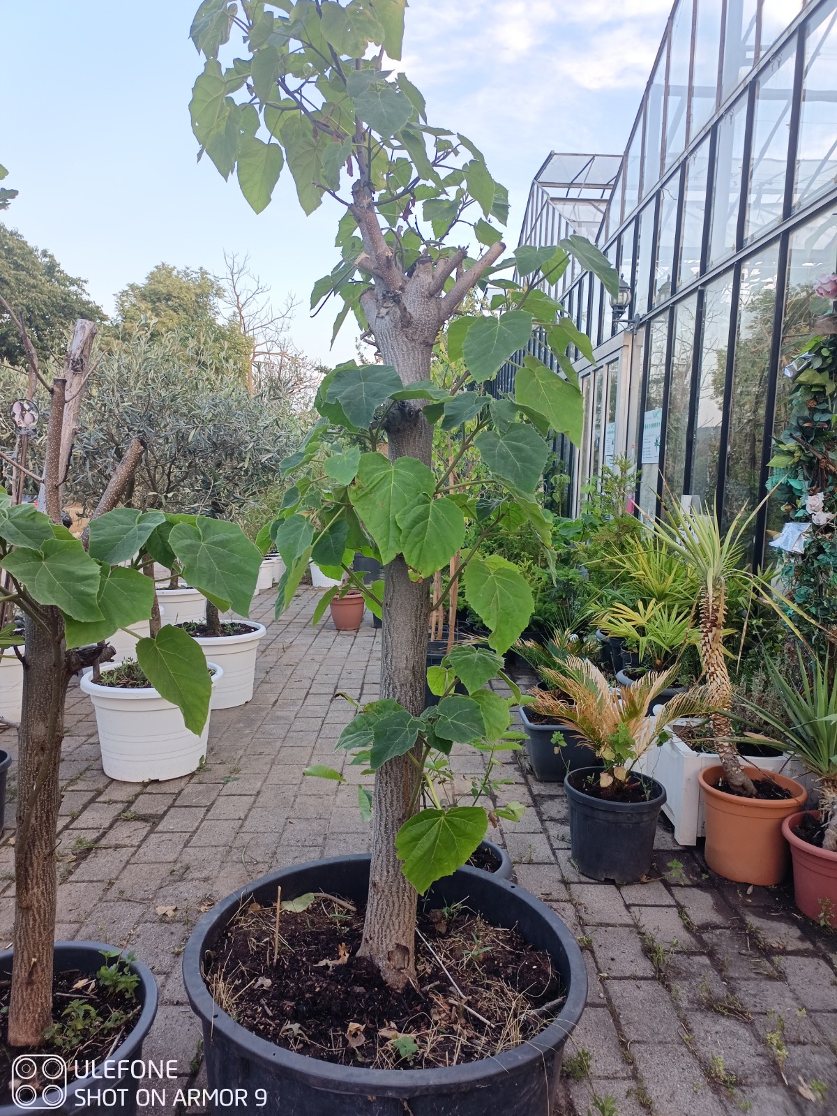 682de5bb3fd21