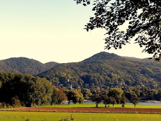 GRÄFE Garten- und Landschafts- bau GmbH
