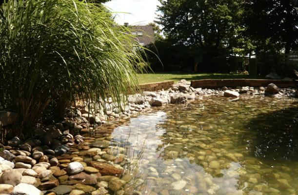 Gartengestaltung Scholz