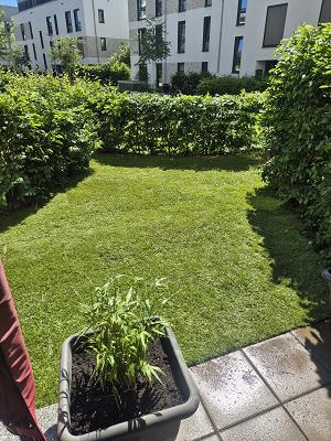 Gartenpflege Walterich