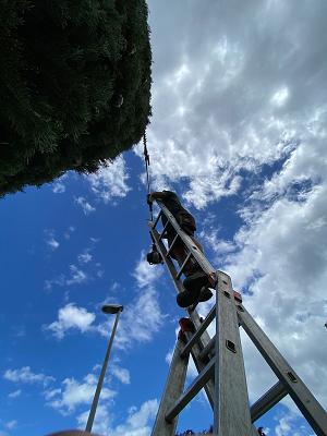 Urban Blum Garten- & Landschaftsbau